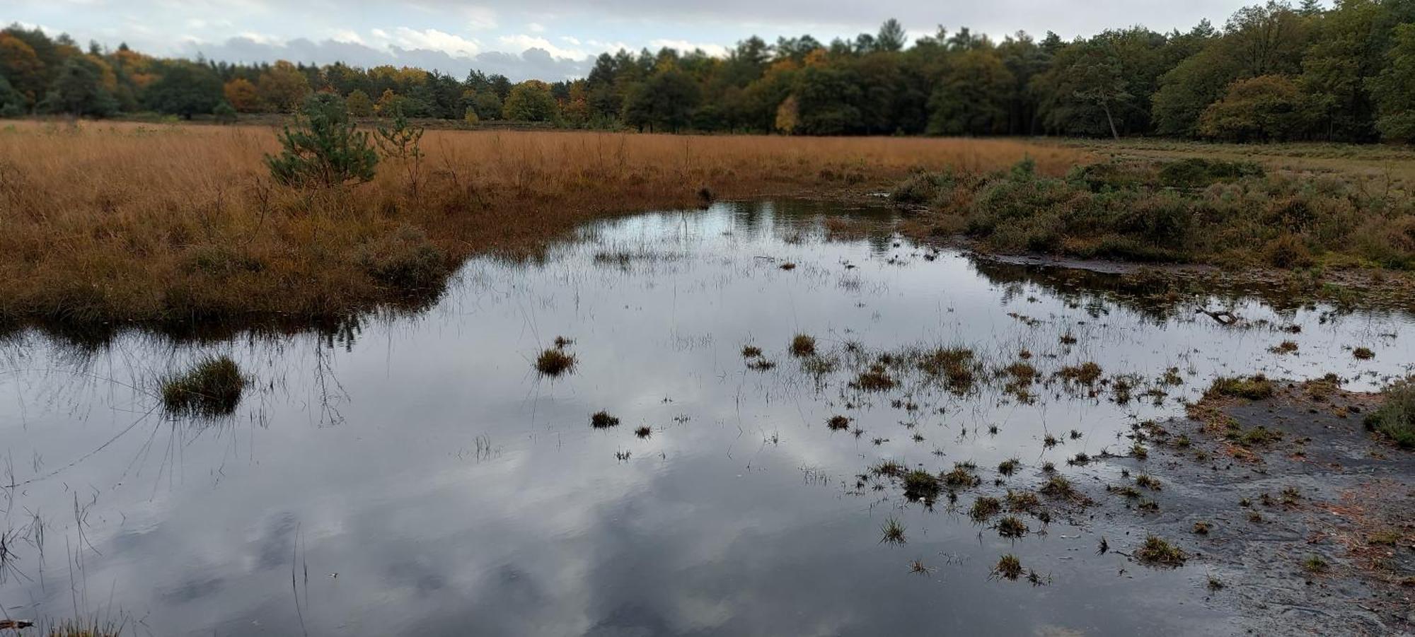 Villa Mooi Drenthe Wezuperbrug Esterno foto