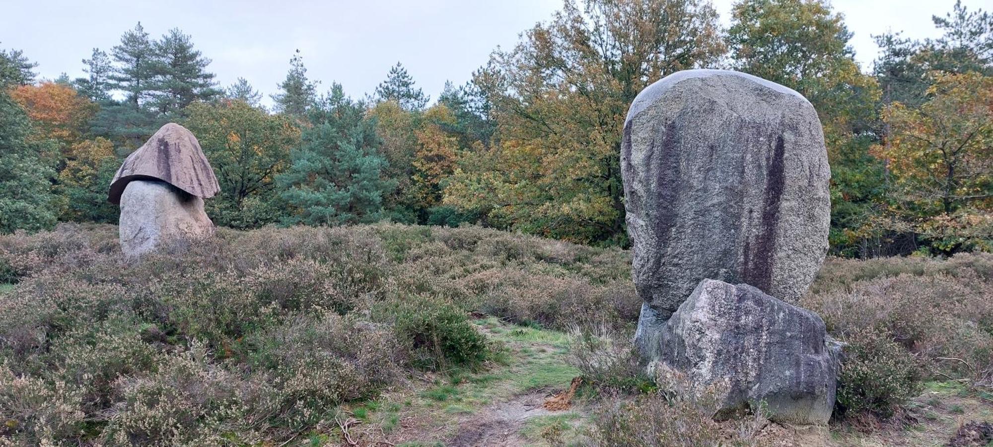 Villa Mooi Drenthe Wezuperbrug Esterno foto